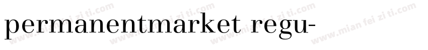 permanentmarket regu字体转换